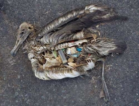 Image result for great pacific garbage patch