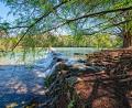 New study examines the causes and consequences of the 2015 Wimberley floods