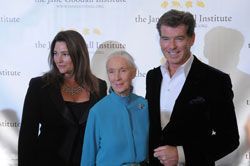 (L-R) Keely Brosnan;  Dr. Jane Goodall, Founder, the Jane Goodall Institute; and Pierce Brosnan at the 2008 Jane Goodall Institute Global Leadership Awards

Credit:  Eddie Arrossi/Courtesy the Jane Goodall Institute 